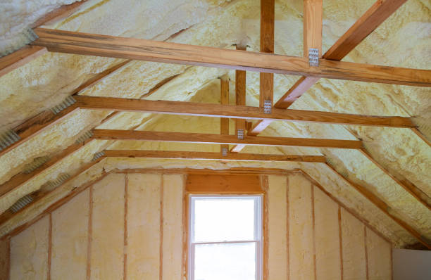 Best Insulation Maintenance and Repair in Vancleave, MS