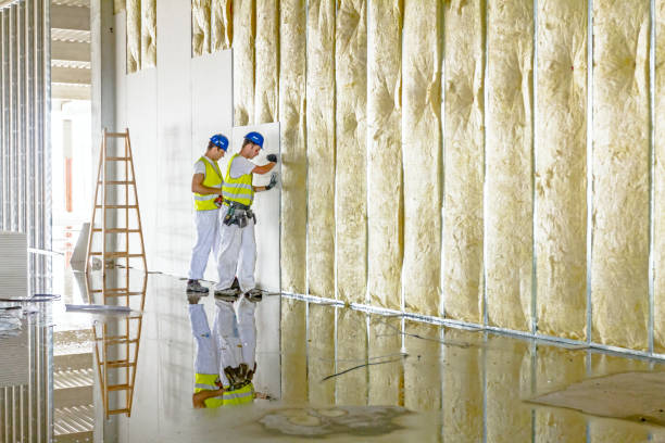 Best Types of Insulation in Vancleave, MS